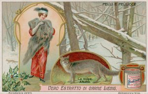 Le renard arctique