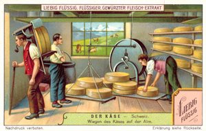 Pesée des fromages suisses dans une laiterie alpine