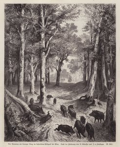 Sanglier sur le Lorenzer Berg dans le parc impérial à Vienne, Autriche - European School