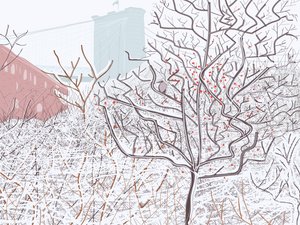 Oiseau dans la neige, Brooklyn Bridge Park (art numérique)