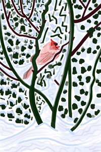 Cardinal dans la neige (art numérique)