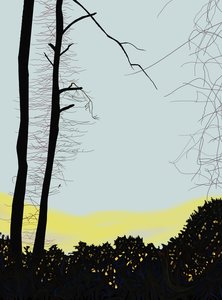 Cardinal dans un arbre (art numérique) - Evan Sklar