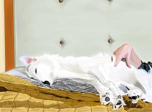 Penny On Yellow Comforter, Brooklyn (art numérique)
