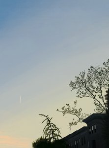 Petite traînée (art numérique)