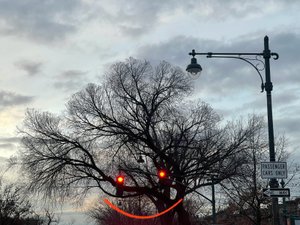 Arbre souriant et feux de circulation. Brooklyn (art numérique)