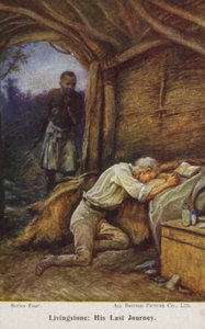 David Livingstone - Evelyn Stuart Hardy