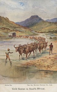 Fermiers conduisant du bétail, Afrique du Sud (lithographie en couleur)