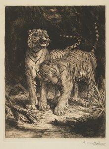 Deux Tigres