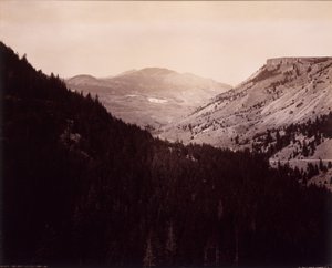 Canyon Gardner, Pic électrique