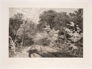 Forêt de Borrevejle