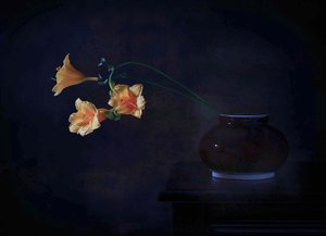  - Fangping Zhou
