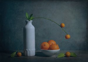 Nature morte aux agrumes à l