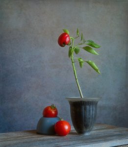  - Fangping Zhou