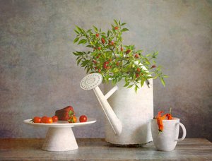  - Fangping Zhou