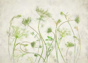  - Fangping Zhou