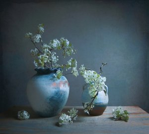  - Fangping Zhou