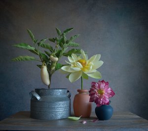 Aubergines blanches – Dahlia – Nature morte - Fangping Zhou