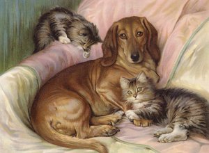Camarades de jeu - chien et deux chats, assis sur un canapé