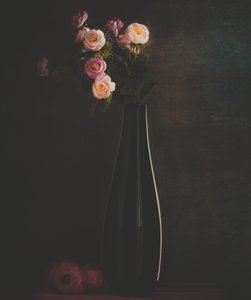  - Farid Kazamil