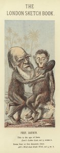 Caricature de Charles Darwin