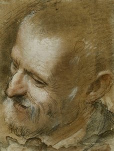 Étude de la tête d