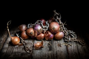 Oignons rustiques et chaîne