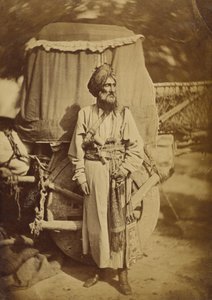 Native Office, Punjab Irregular Cavalry