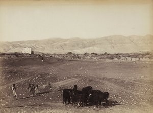 Une zone rocheuse avec des enfants et des animaux en pâturage, en Égypte - Félix Bonfils