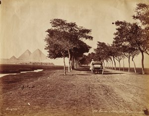 Le Caire. Allée des Pyramides - Félix Bonfils