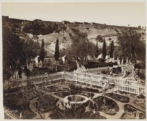 Jardin de Gethsémani n° 303 - Félix Bonfils