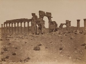 Palmyre : vue d