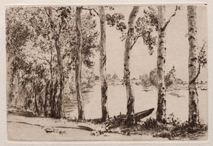 Peupliers sur la rive de la Seine - Felix Bracquemond