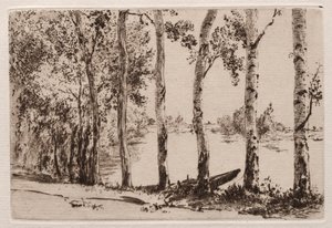 Trembles sur la rive de la Seine - Felix Bracquemond