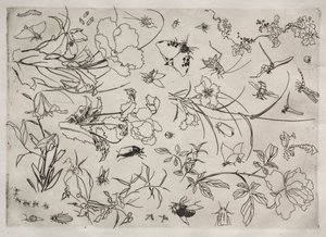 Service de table Rousseau : Fleurs et Insectes n° 15, 1866 - Felix Bracquemond