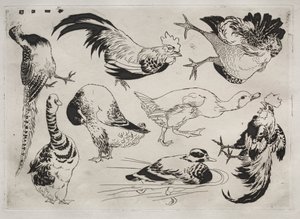 Service de table Rousseau : Coqs, canards, etc. no. 13, 1866 - Felix Bracquemond