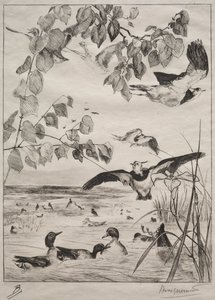 Vanneaux et sarcelles - Felix Bracquemond