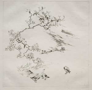 Service parisien (service Haviland) : Nuit (no. 7) - Felix Bracquemond