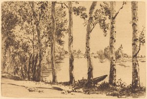 Peupliers le long de la Seine