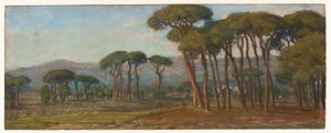 Paysage étendu avec un village et une colline au loin