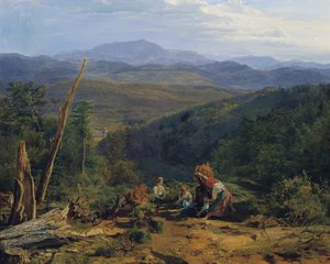 Paysage de la forêt viennoise avec le château de Wildegg