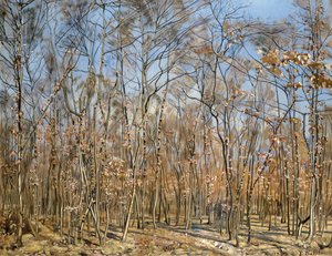 Forêt de hêtres, 1885-1894