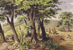 Août - Ferdinand Karl Klimsch