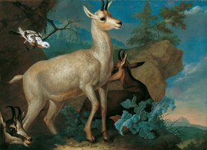  - Ferdinand Phillip de Hamilton