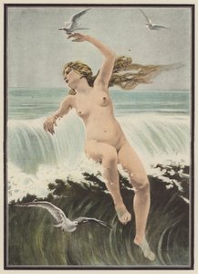 Vagues et mouettes