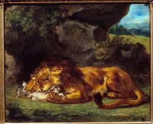 Lion battant un lapin