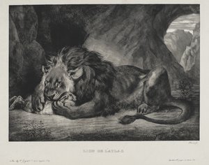 Lion de l