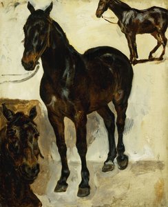 Trois études de chevaux, c.1823 - Ferdinand Victor Eugene Delacroix