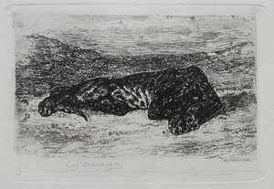 Tigre couché dans le désert - Ferdinand Victor Eugene Delacroix