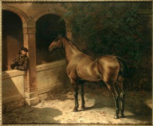 Cheval et fumeur