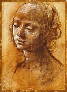 Figure féminine, par Filippino Lippi